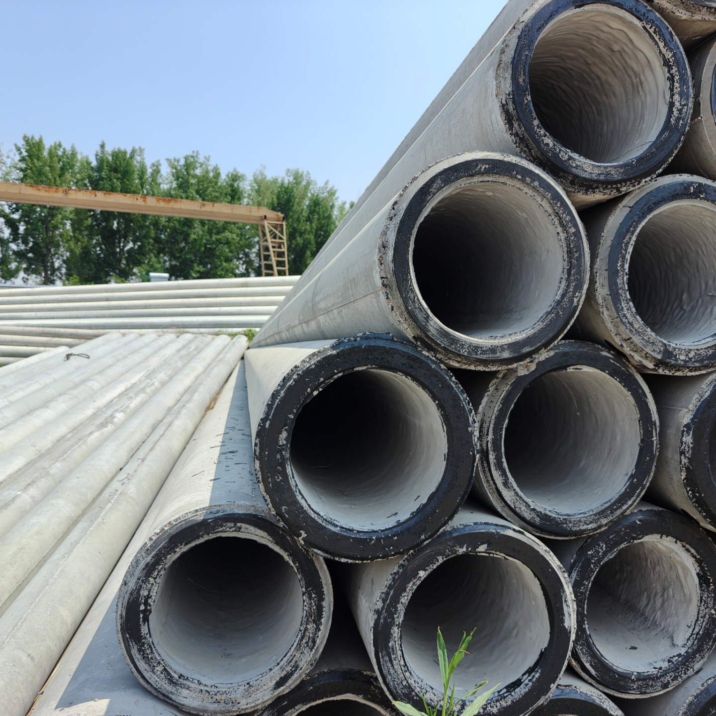 宿豫10米预应力水泥电杆